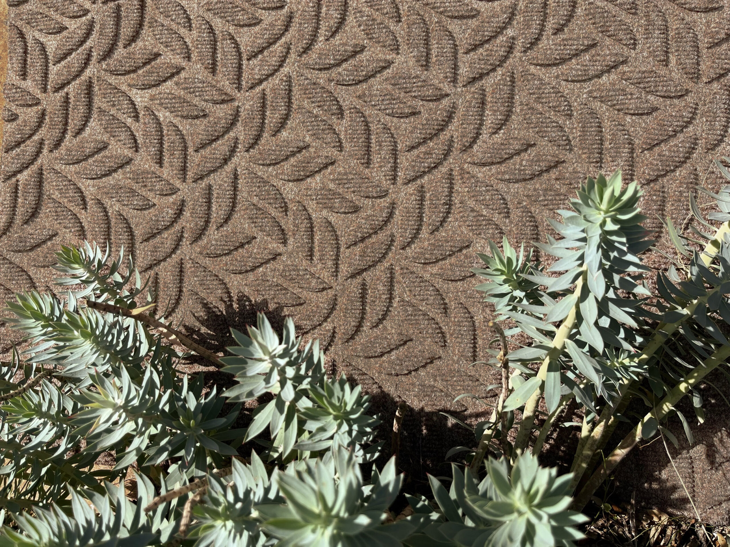 Paillasson extérieur DUNE Leaves Taupe – feuilles en relief taupe – Image 4